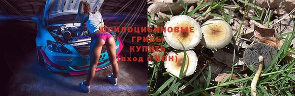 ГАЛЛЮЦИНОГЕННЫЕ ГРИБЫ Алексин