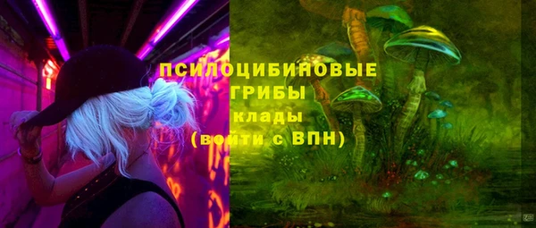 дурь Армянск