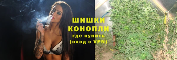 прущие грибы Суоярви