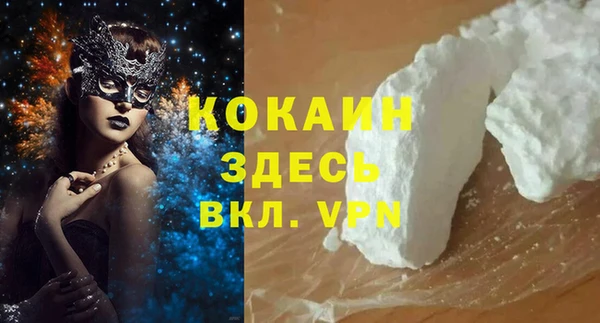 ГАЛЛЮЦИНОГЕННЫЕ ГРИБЫ Арсеньев
