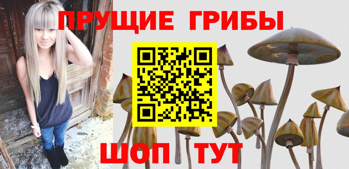Псилоцибиновые грибы Cubensis  Псилоцибиновые грибы мухоморы  Вход с VPN  Тында 